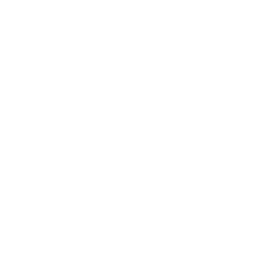 Janus Workshop